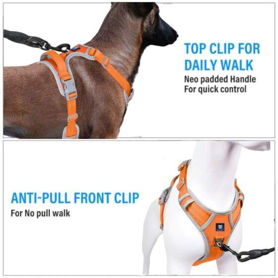 Dog Harness & Leash Neon Orange Grey Design