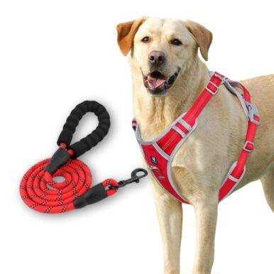 Dog Harness Red Grey Design