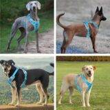 Hank Dog Harness Cyan Blue Grey