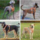 Hank Dog Harness Orange Grey