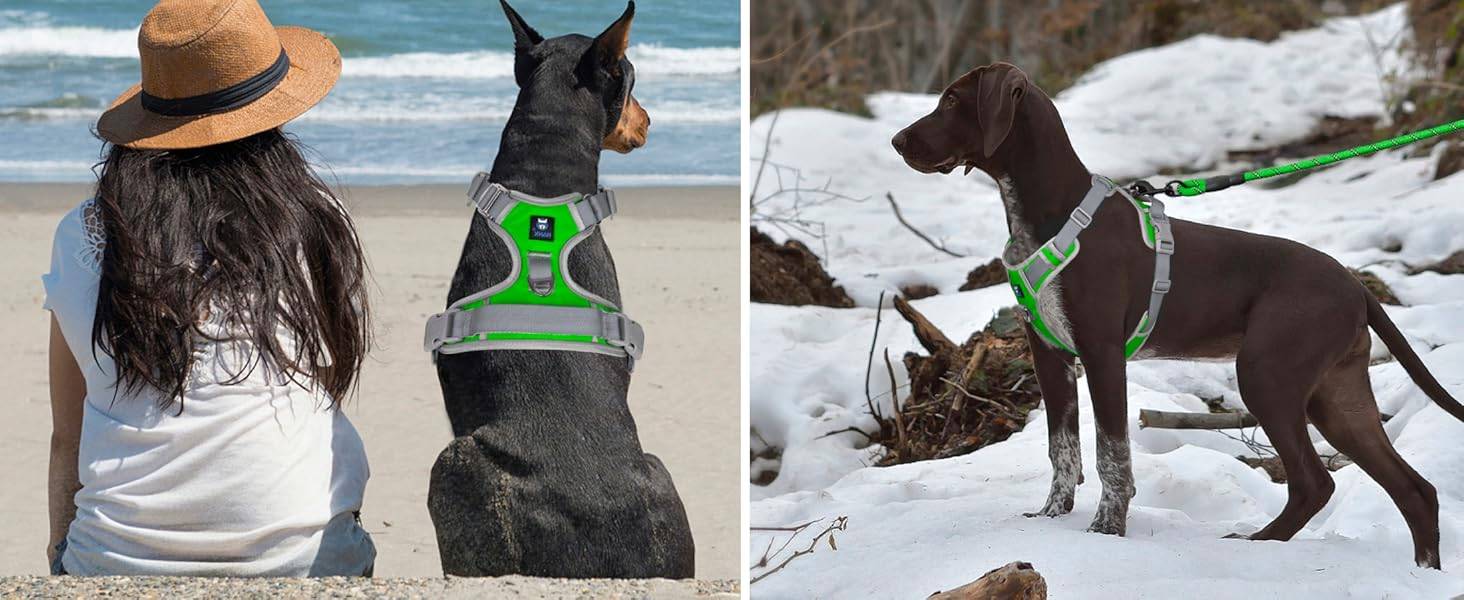 Dog Harness Green