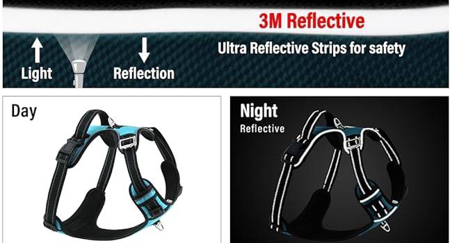 Night Reflective Blue Dog Harness