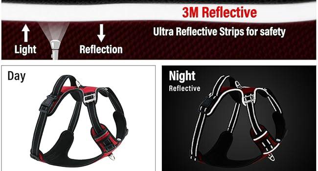 Night Reflective Dog Harness