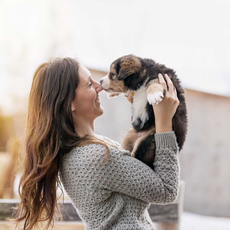 Basic Puppy Care and Training