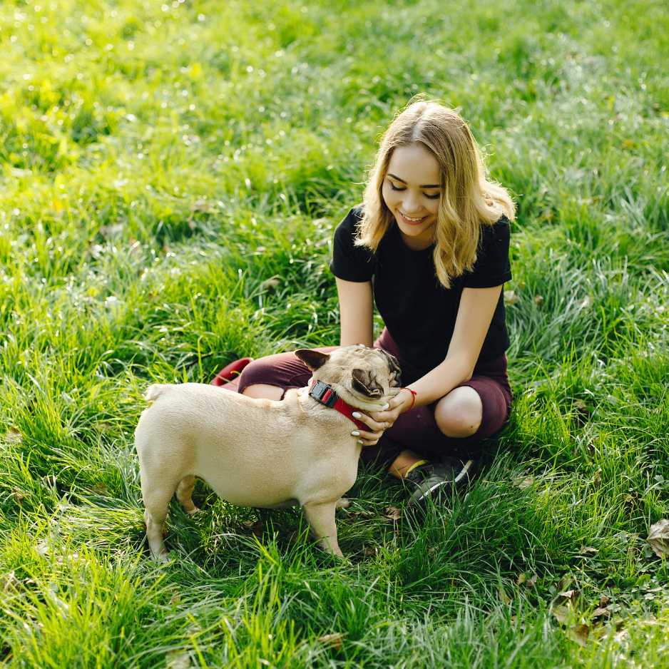 Bonding with Your Pug