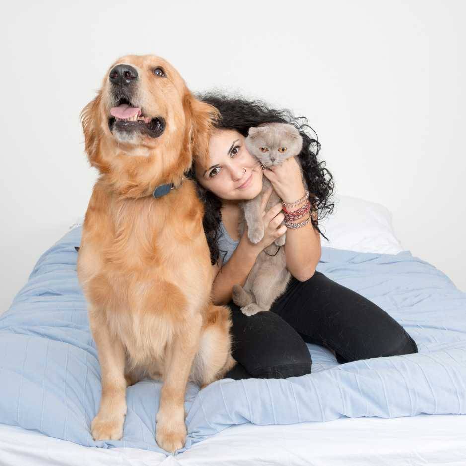 Building a Relationship with Your Dog