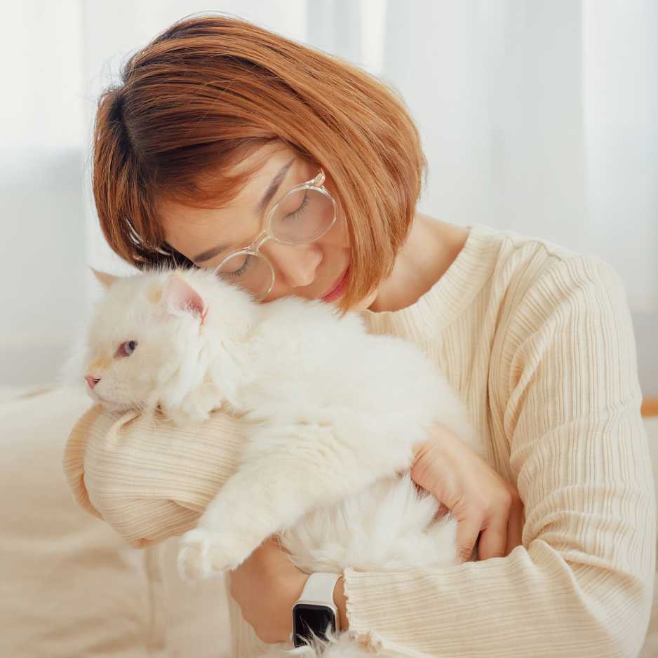 Building a Strong Bond with Your Persian Cat