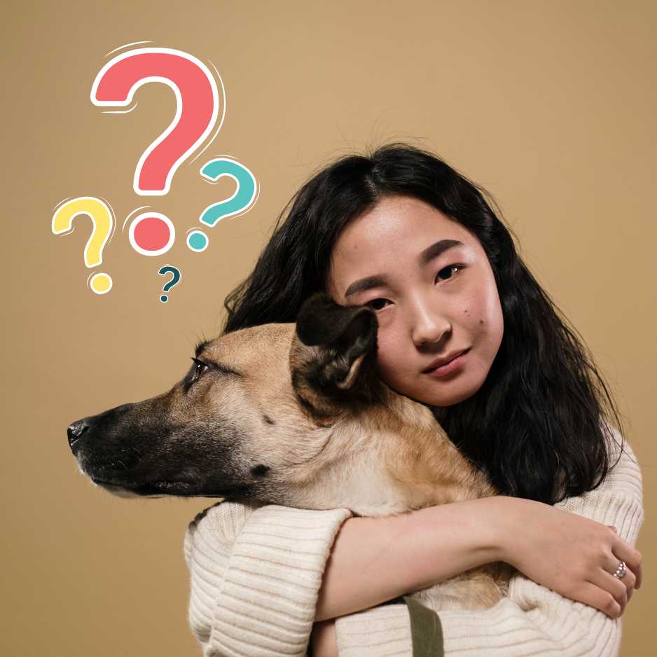 Is Dog Ownership Right for You