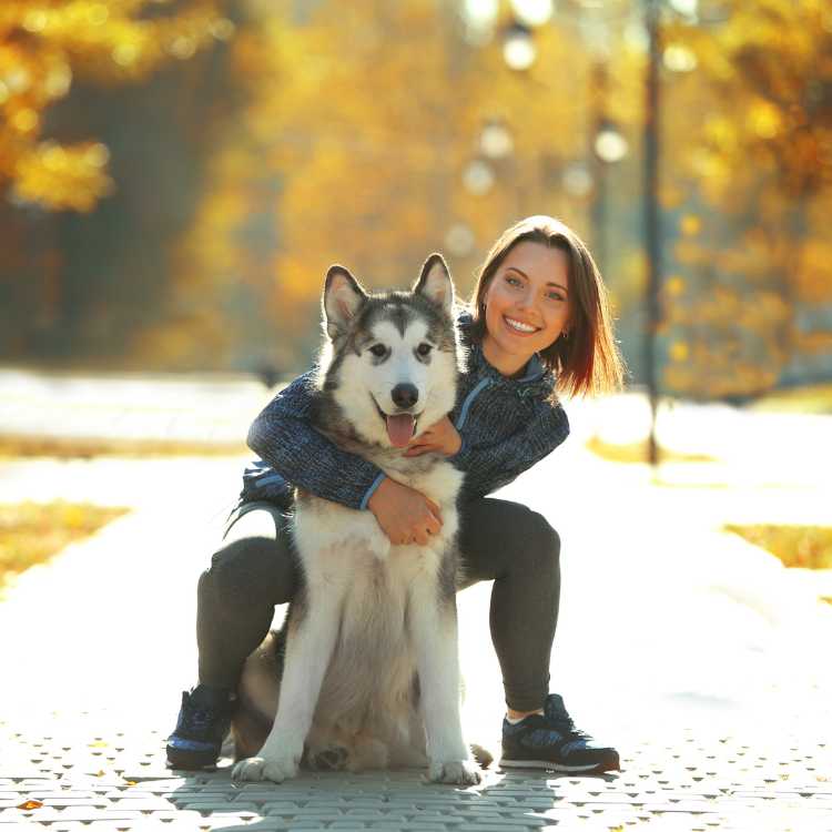 Is a Husky the Right Dog for Your Lifestyle