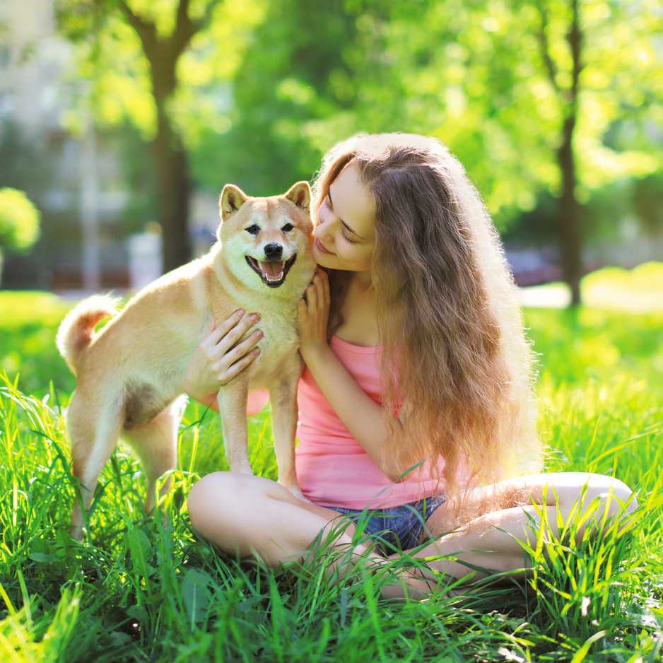 Maintaining Your Dog’s Health