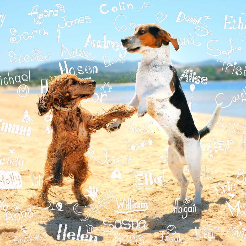 Trending Dog Names