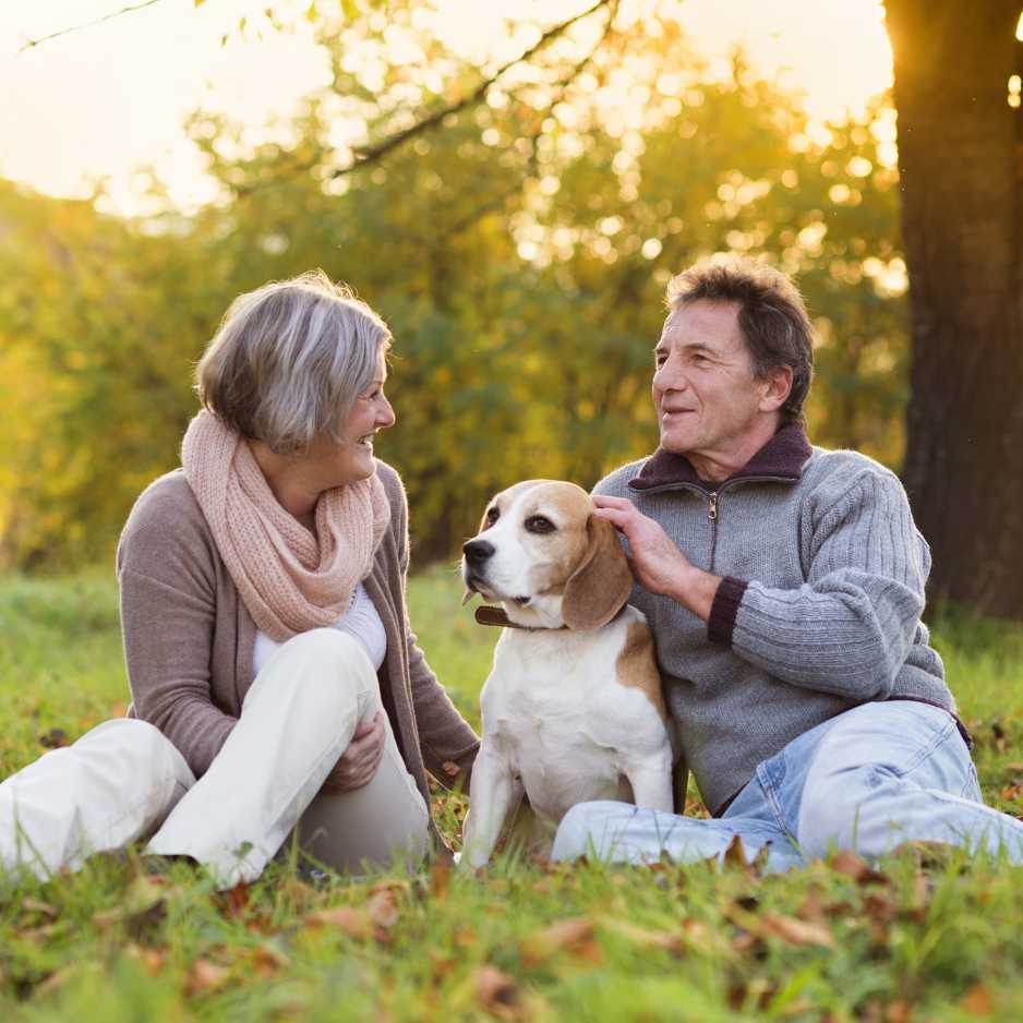 Dog Benefits for Seniors