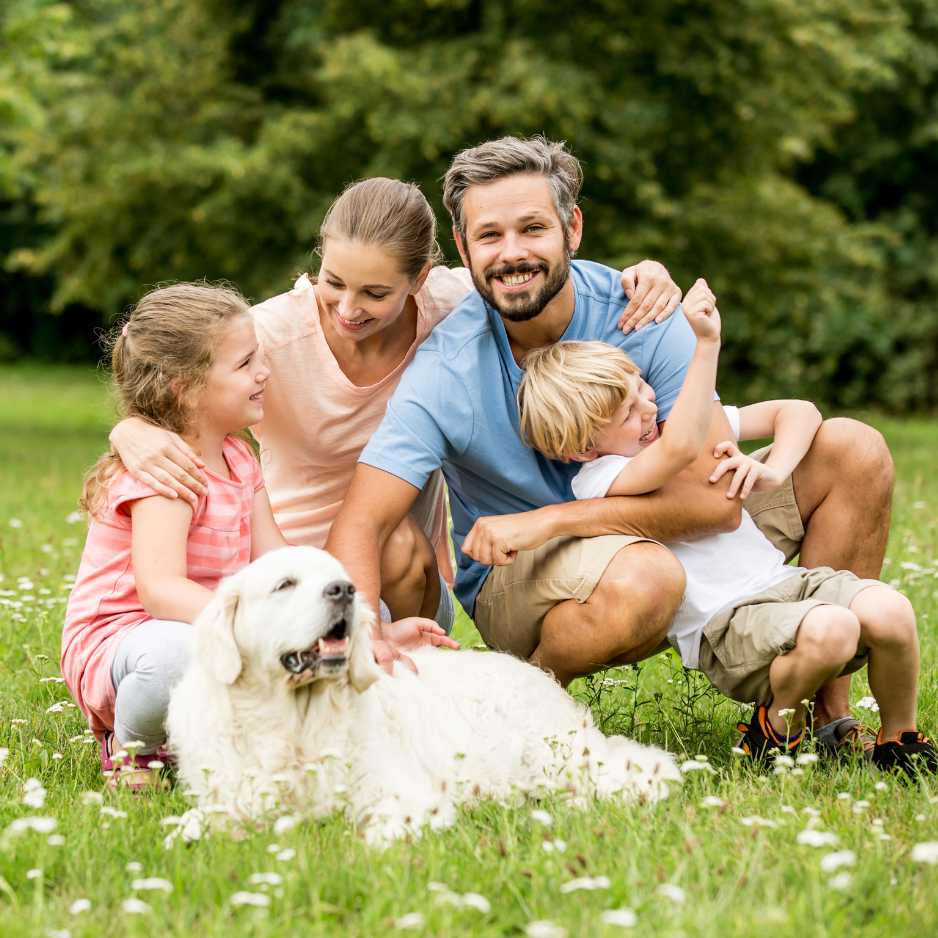 How Dogs Enhance Family Life