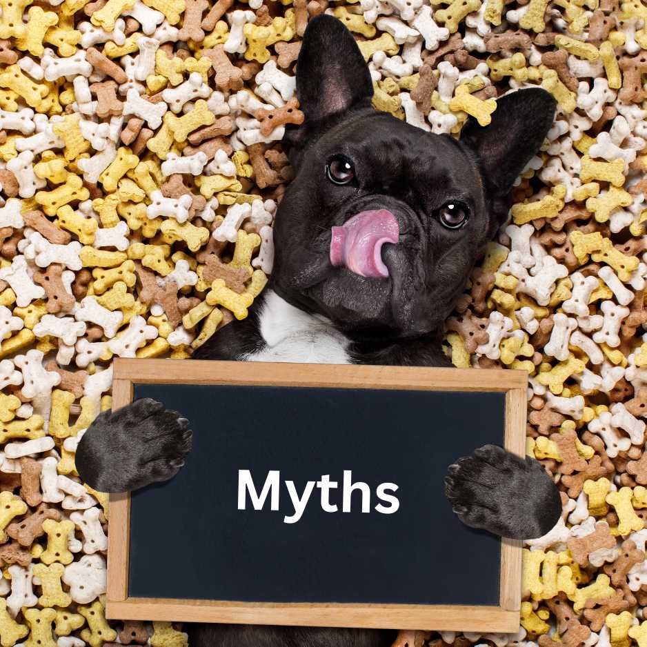 Myths About Dog Food You Should Ignore