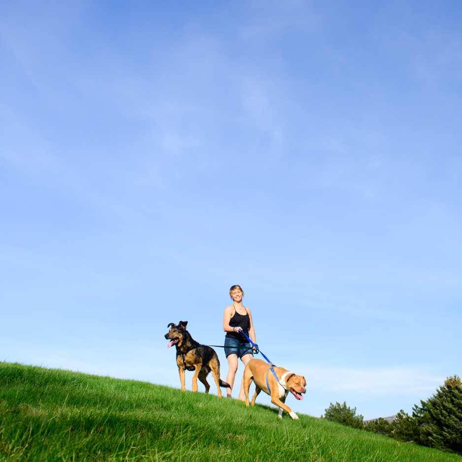 Physical Health Benefits of Having a Dog