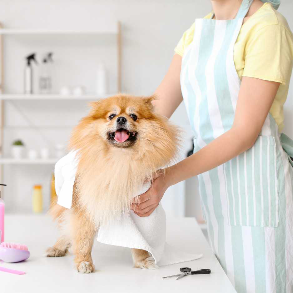 Grooming Tips for Different Dog Breeds