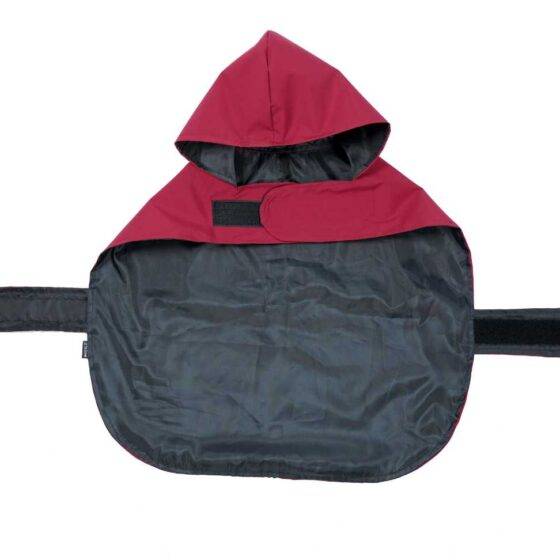 Maroon Dog Windcheater Front