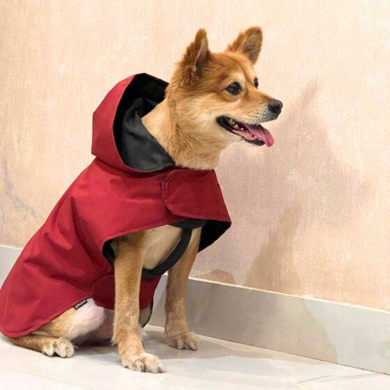 Maroon Windcheater For Dogs