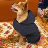 Navy Blue Windcheater For Dogs