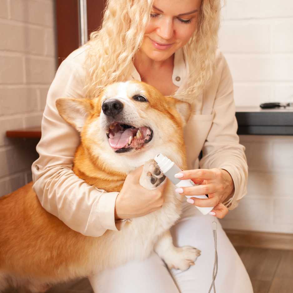 Dog Nail Trimming