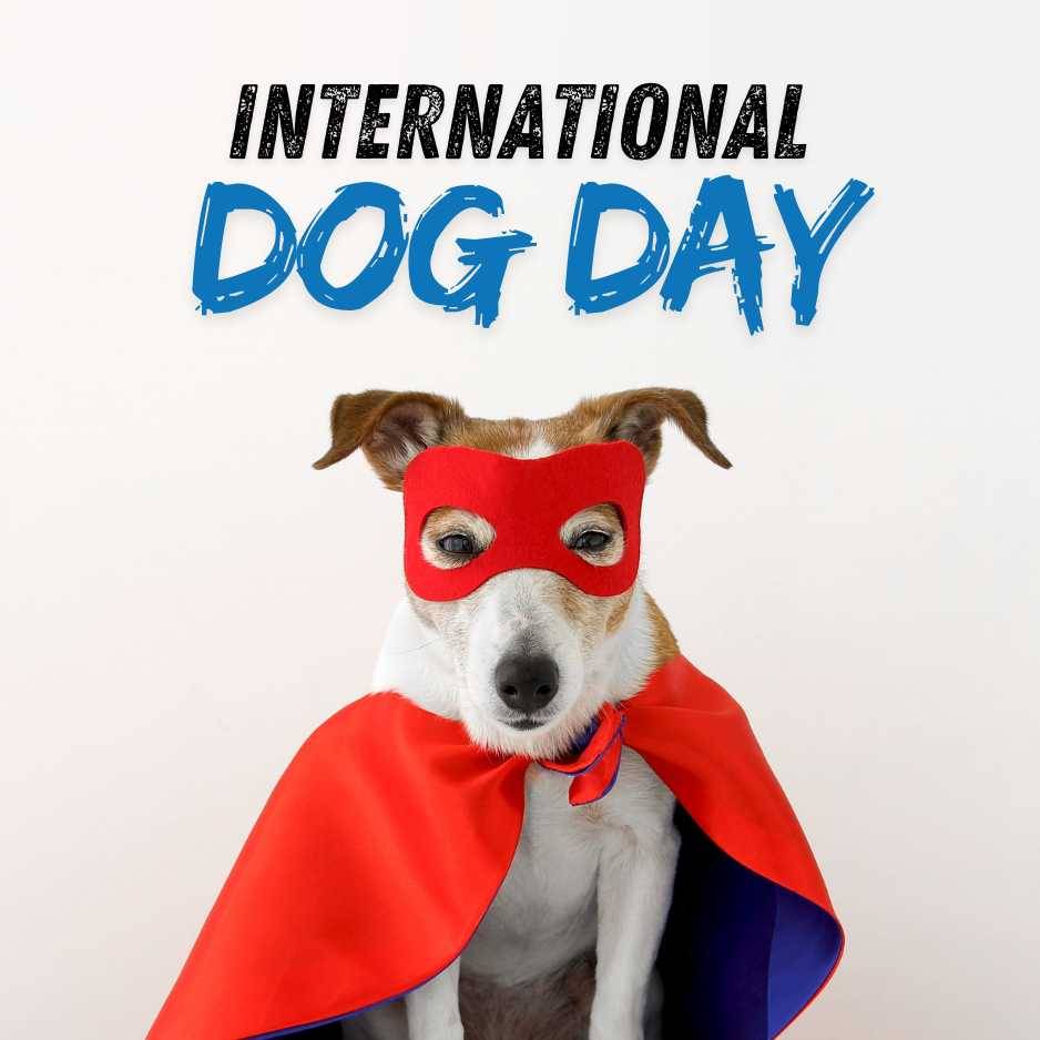 International Dog Day