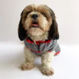 Reversible Quilted Jacket (Grey & Black) for Dogs & Cats