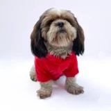 Puffer Jacket Red for Dogs & Cats