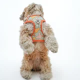 Dog Harness Micky Design