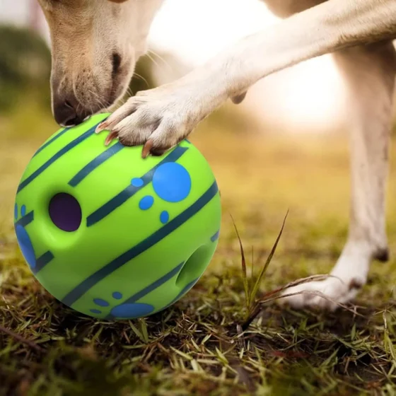 Ball Interactive Toy for Dogs