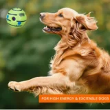 Ball Interactive Toy for Dogs