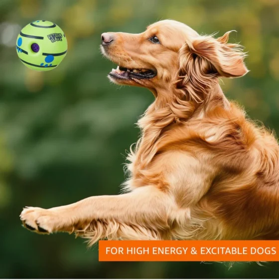 Ball Interactive Toy for Dogs