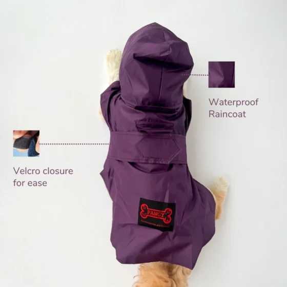 Purple Raincoat For Dogs & Cats