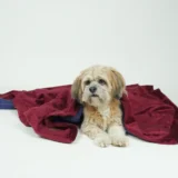 Reversible Blanket For Pets