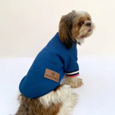 Candy blue Sweatshirt for Dogs & Cats