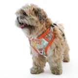 Dog Harness Micky Design