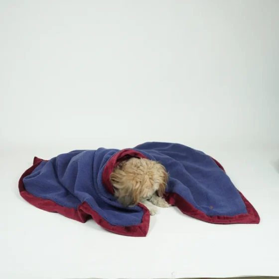 Reversible Blanket For Pets