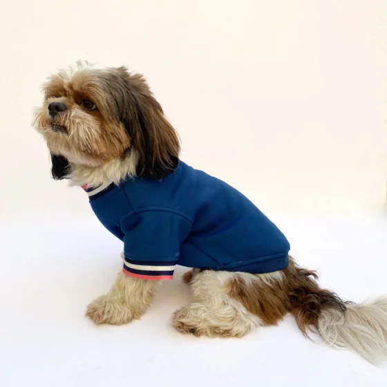 Candy blue Sweatshirt for Dogs & Cats