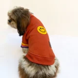 Smiley Rust Sweatshirt for Dogs & Cats