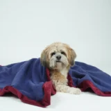 Reversible Blanket For Pets