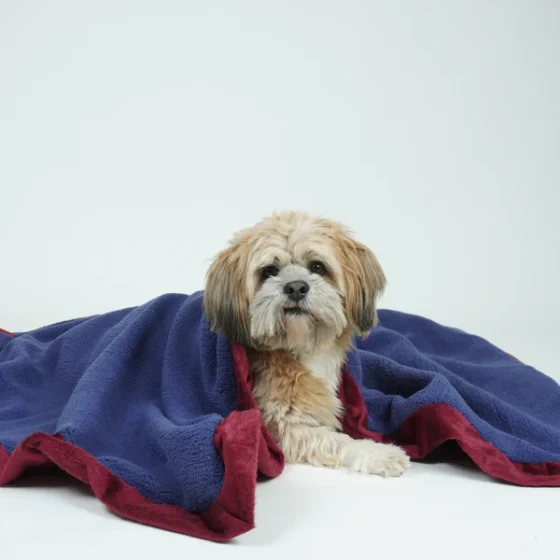 Reversible Blanket For Pets