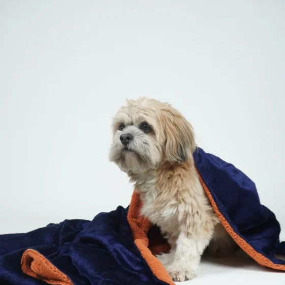 Reversible Blanket For Dogs & Cats