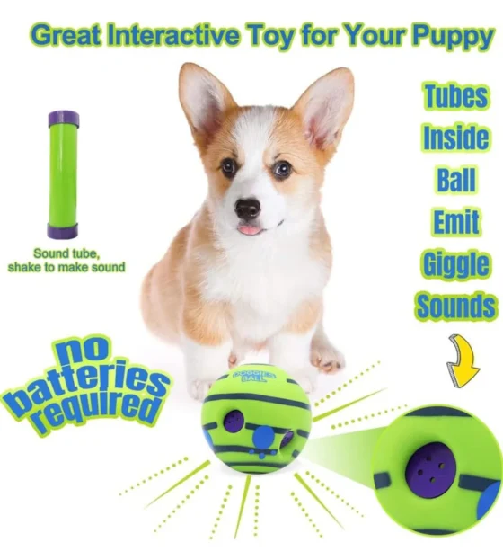 Ball Interactive Toy for Dogs