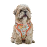 Dog Harness Micky Design