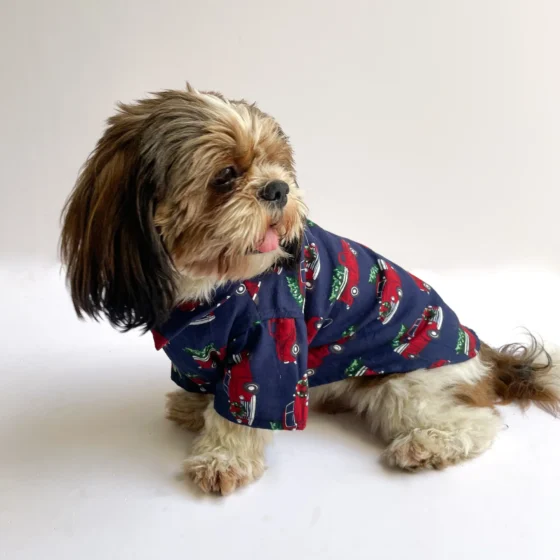 Warm winter Shirt Blue for Dogs & Cats