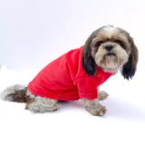 Puffer Jacket Red for Dogs & Cats