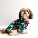 Warm winter Shirt Green for Dogs & Cats