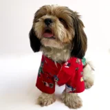 Warm winter Shirt Red for Dogs & Cats