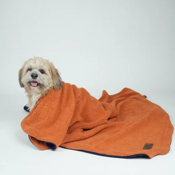 Reversible Blanket For Dogs & Cats