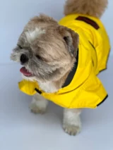 Yellow Raincoat For Dogs & Cats