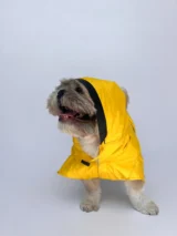 Yellow Raincoat For Dogs & Cats